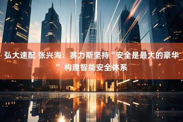 弘大速配 张兴海：赛力斯坚持“安全是最大的豪华” 构建智能安全体系