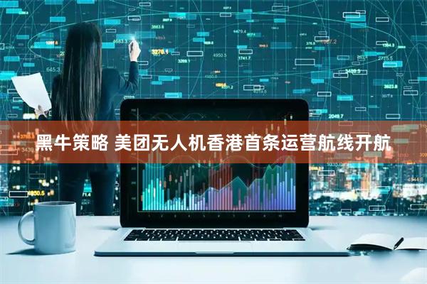 黑牛策略 美团无人机香港首条运营航线开航