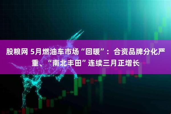 股粮网 5月燃油车市场“回暖”：合资品牌分化严重、“南北丰田”连续三月正增长