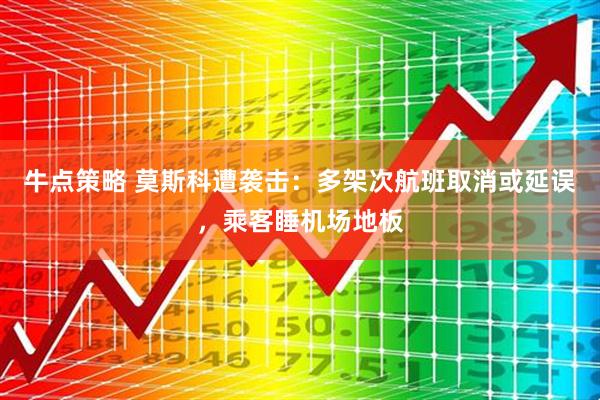 牛点策略 莫斯科遭袭击：多架次航班取消或延误，乘客睡机场地板