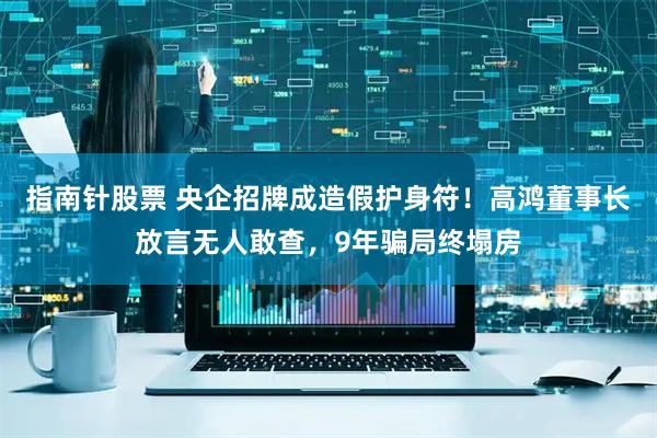 指南针股票 央企招牌成造假护身符！高鸿董事长放言无人敢查，9年骗局终塌房