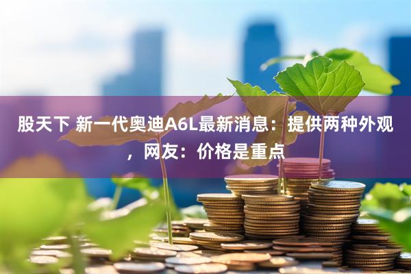 股天下 新一代奥迪A6L最新消息：提供两种外观，网友：价格是重点